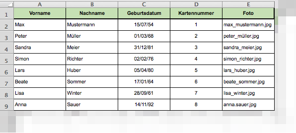 MyPlastikkarten Variable Daten Beispiele.